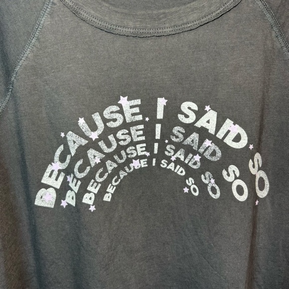 Aerie Women's Classic Graphic Tshirt Gray Distressed Because I Said So Sz Medium - Picture 4 of 12